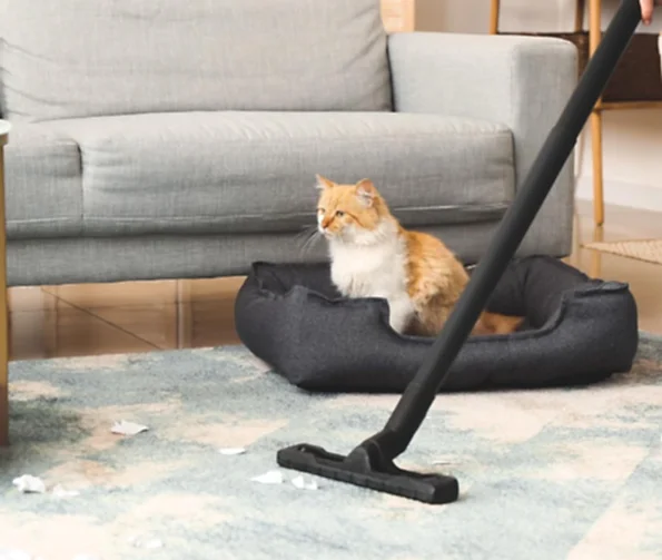Vancouver cleaning service richmond cleaning service surrey cleaning service burnaby cleaning service langley cleaning service