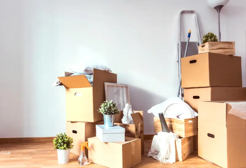 The Ultimate Guide to Move-In/Move-Out Cleaning Services in Vancouver with Basil Green Clean