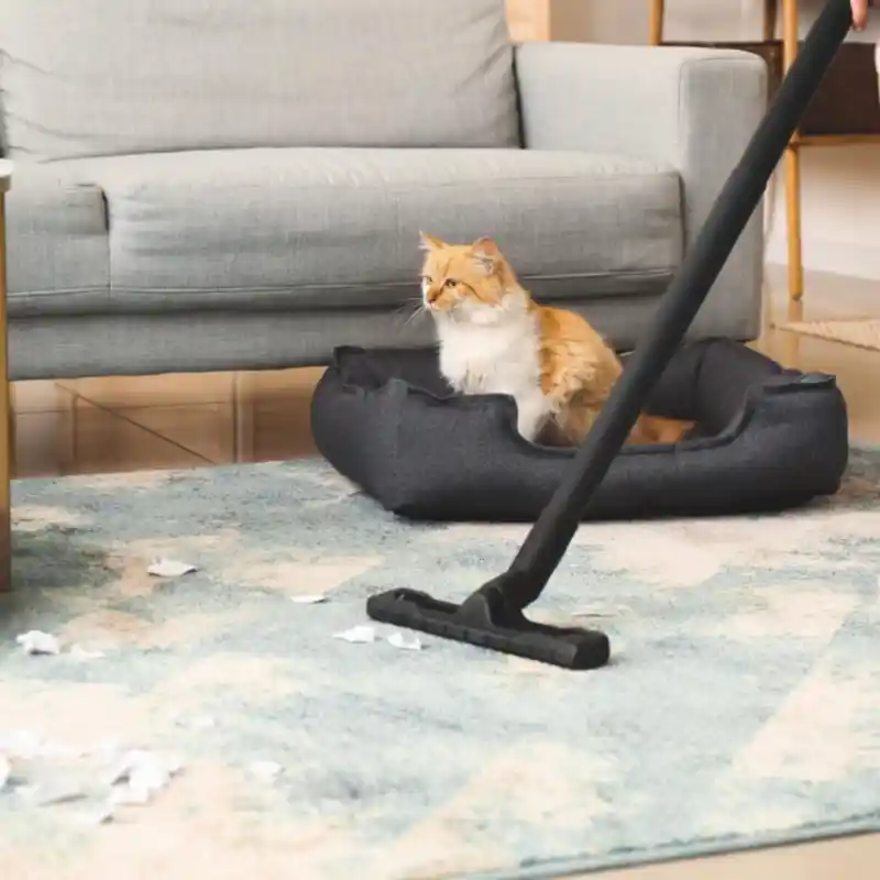 surrey cleaning service
